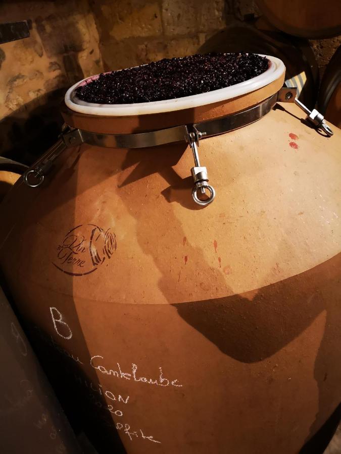 Chateau Cantelaube Saint-Émilion المظهر الخارجي الصورة