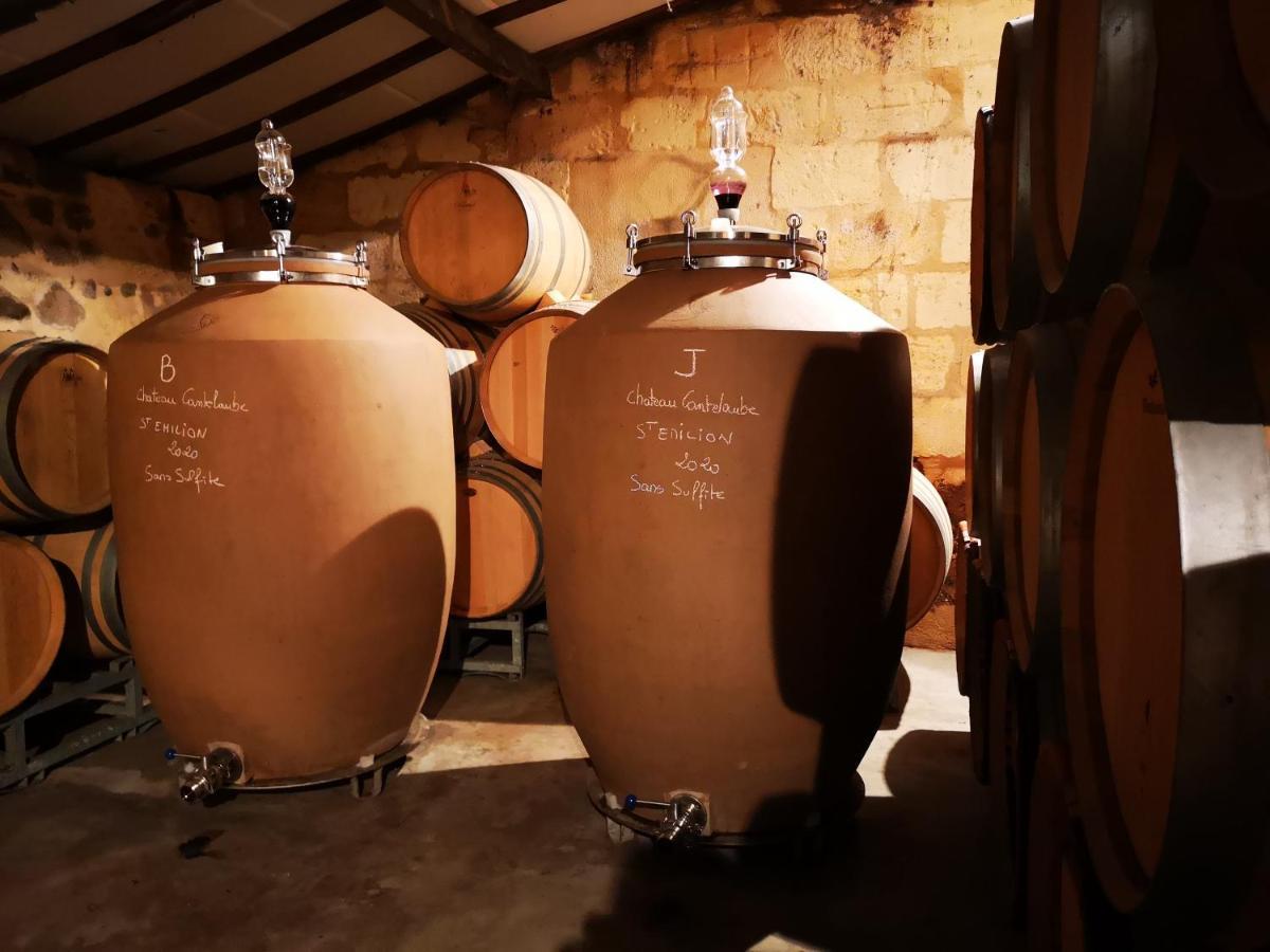 Chateau Cantelaube Saint-Émilion المظهر الخارجي الصورة