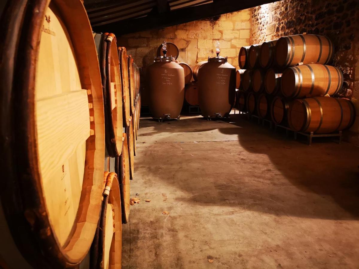 Chateau Cantelaube Saint-Émilion المظهر الخارجي الصورة