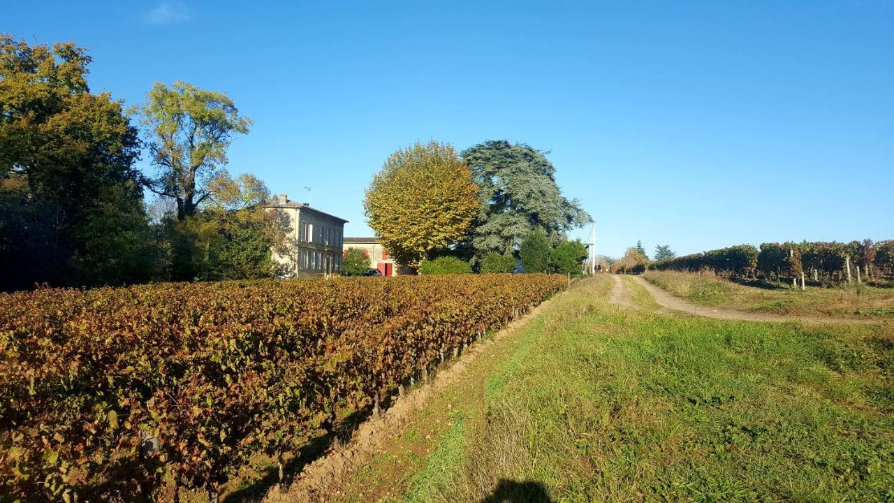Chateau Cantelaube Saint-Émilion المظهر الخارجي الصورة